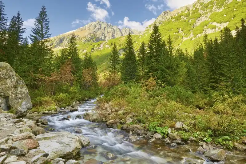 Wysoka jakość FotoTAPETA na flizelinie MS-5-0077 VALLEY