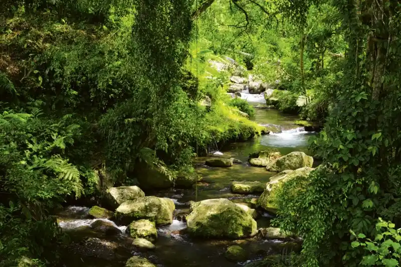 FotoTAPETA na flizelinie MS-5-0079 STREAM Zniżka