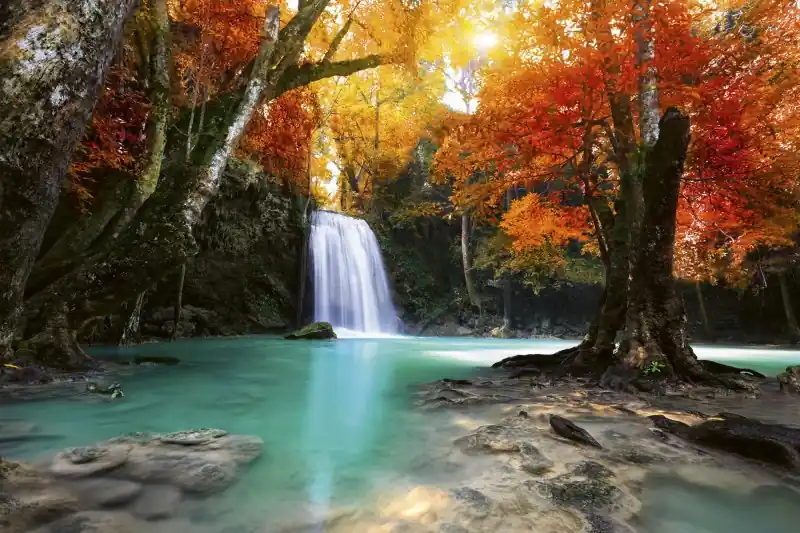 Promocja FotoTAPETA na flizelinie MS-5-0083 DEEP FORESTWATERFALL