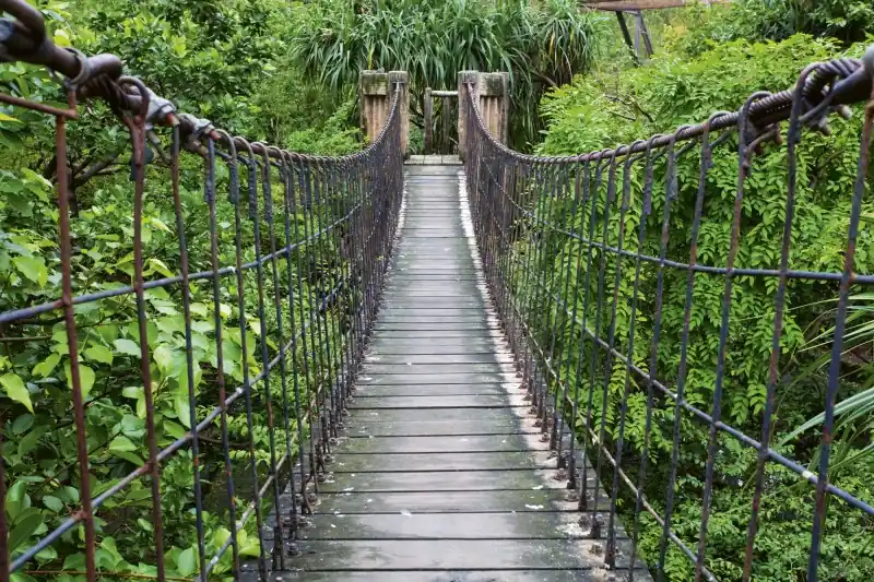 FotoTAPETA na flizelinie MS-5-0084 FOOTBRIDGE Tylko dziś