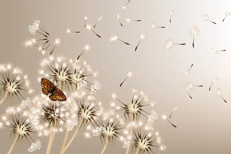Popularny FotoTAPETA na flizelinie MS-5-0148 DANDELIONS AND BUTTERFLY