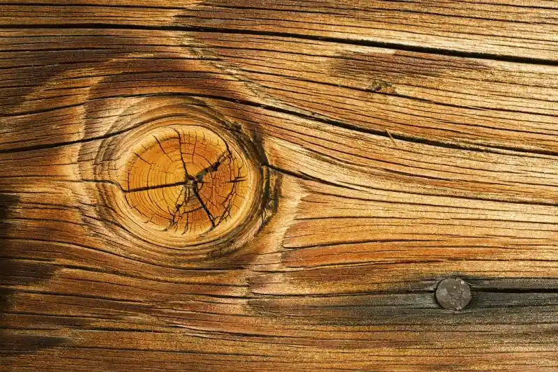 Tylko do końca tygodnia FotoTAPETA na flizelinie MS-5-0157 WOOD KNOT