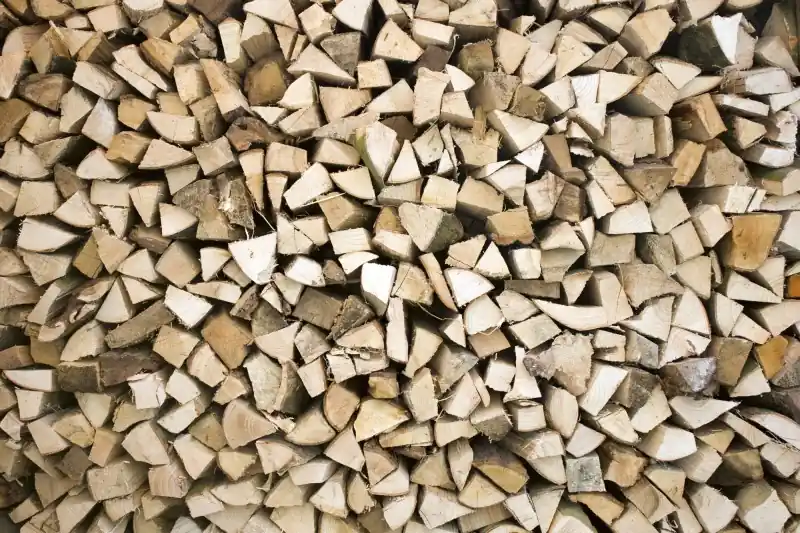 Niska cena FotoTAPETA na flizelinie MS-5-0161 TIMBER LOGS