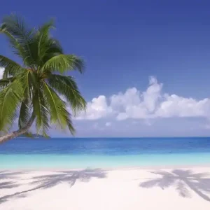 Tylko dziś FotoTAPETA na flizelinie MS-5-0194 BEACH