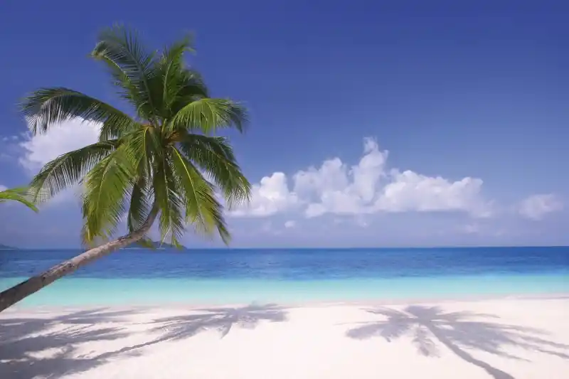 Tylko dziś FotoTAPETA na flizelinie MS-5-0194 BEACH