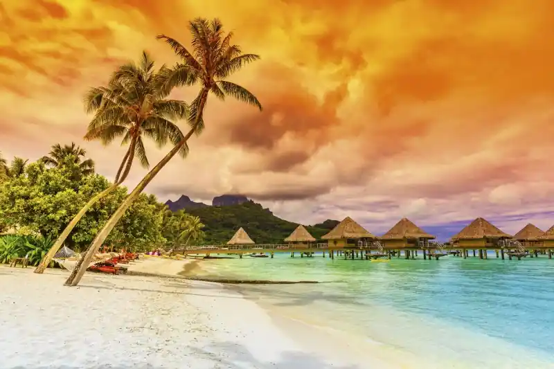 Wybór klientów FotoTAPETA na flizelinie MS-5-0211 POLYNESIA