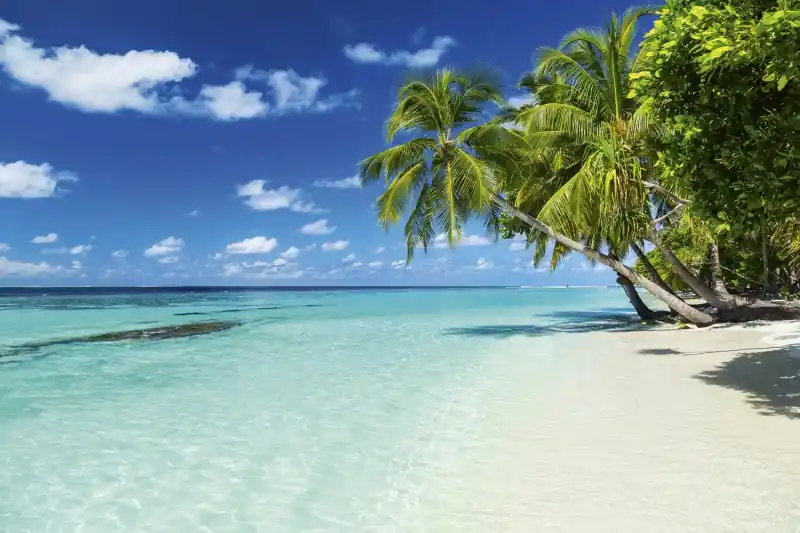FotoTAPETA na flizelinie MS-5-0215 PARADISE BEACH Kup teraz
