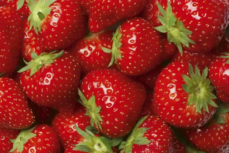 FotoTAPETA na flizelinie MS-5-0241 STRAWBERRY Zamów teraz