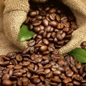 Zamów dziś FotoTAPETA na flizelinie MS-5-0244 COFFEE BEANS