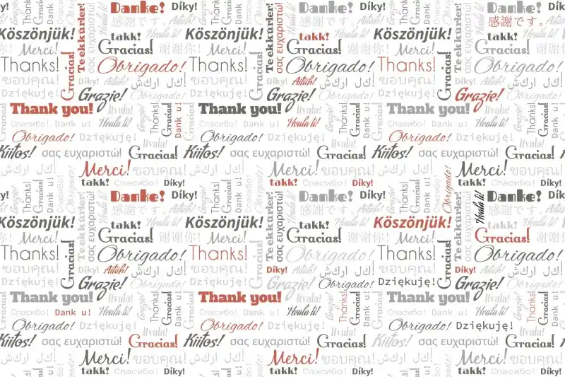Tani FotoTAPETA na flizelinie MS-5-0266 THANK YOU