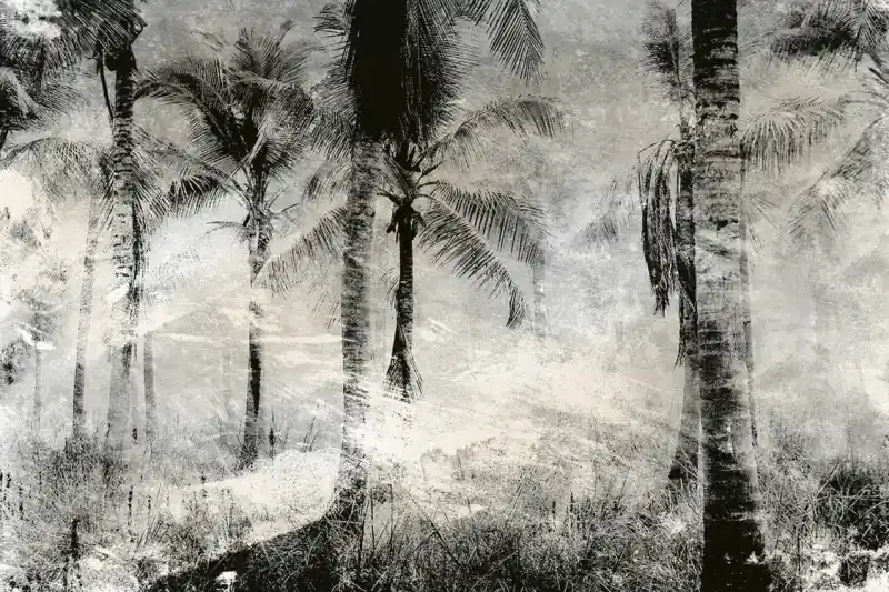 Oferta Fototapeta na Flizelinie MS-5-0374 Palma abstrakcja 375 x 250 cm
