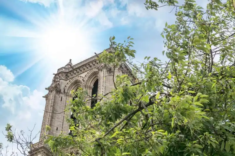 Fototapeta na Flizelinie MS-5-1021 Notre Dame 375 x 250 cm Premium