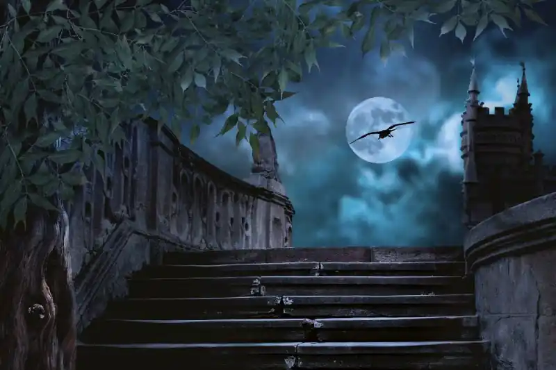 Fototapeta na Flizelinie MS-5-1271 Schody kamienne nocą 375 x 250 cm Nowy