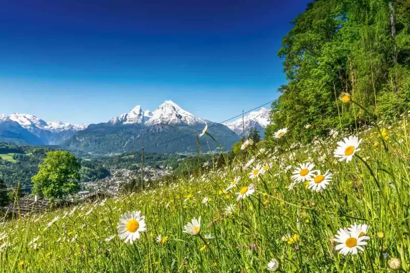 Fototapeta na Flizelinie MS-5-1302 Krajobraz alpejski 375 x 250 cm Bestseller