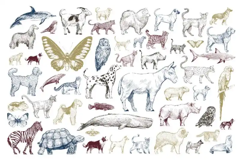 Fototapeta na flizelinie MS-5-1482 Kolekcja Animal II. 375 x 250 cm Popularny
