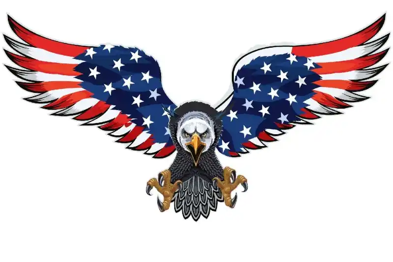 Fototapeta na flizelinie MS-5-1493 American eagle z flagą 375 x 250 cm Super okazja