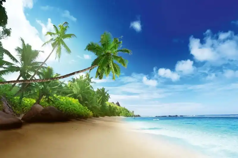 Oferta Fototapeta na flizelinie MS-5-1764 Seszele plaża 375 x 250 cm