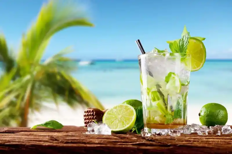 Fototapeta na flizelinie MS-5-1774 Mojito na plaży 375 x 250 cm Oferta limitowana