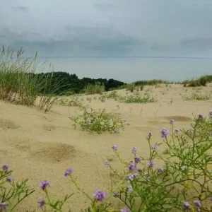 Darmowy zwrot Fototapeta na flizelinie MS-5-1785 Amazing Dunes 375 x 250 cm