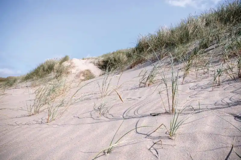 Niska cena Fototapeta na flizelinie MS-5-1796 Sand Dune 375 x 250 cm