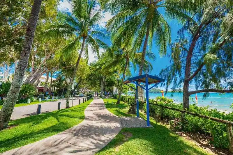 Fototapeta na flizelinie MS-5-1799 Palm Promenada 375 x 250 cm Premium
