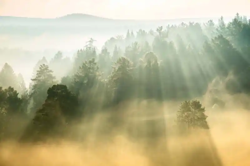 Kup teraz Fototapeta na flizelinie MS-5-1886 Sunbeams 375 x 250 cm