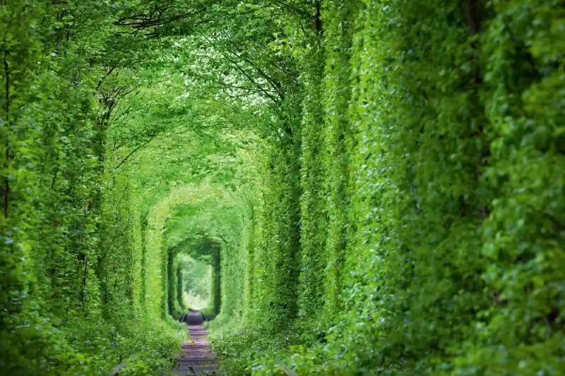 Fototapeta na flizelinie MS-5-1897 Tunel zielony 375 x 250 cm Nowy