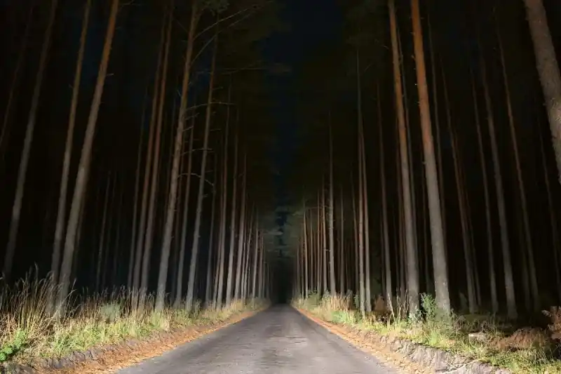 Szybka wysyłka Fototapeta na flizelinie MS-5-1905 Nocny widok drogi 375 x 250 cm