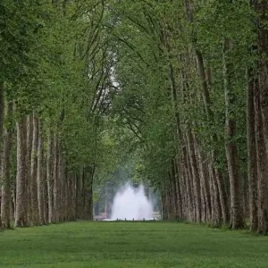 Wyjątkowa oferta Fototapeta na flizelinie MS-5-1908 Versailles Park 375 x 250 cm