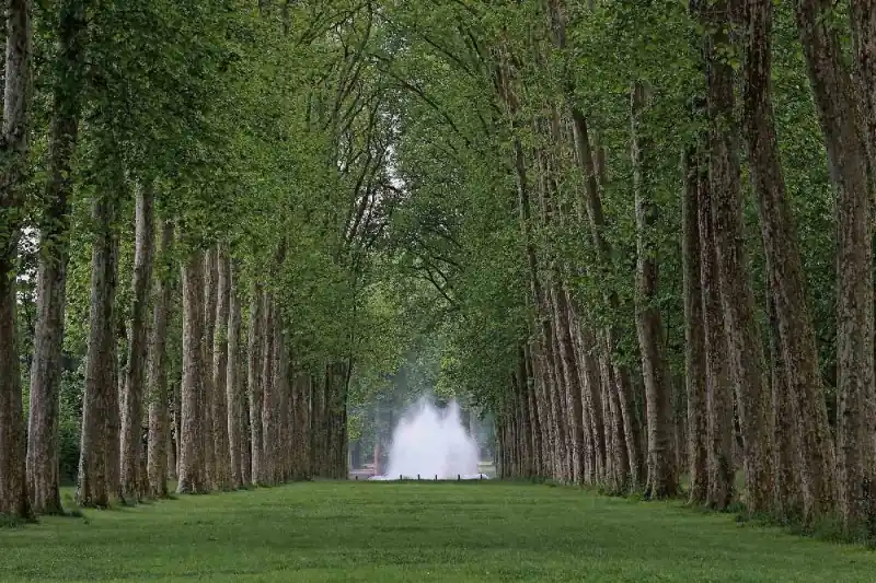 Wyjątkowa oferta Fototapeta na flizelinie MS-5-1908 Versailles Park 375 x 250 cm
