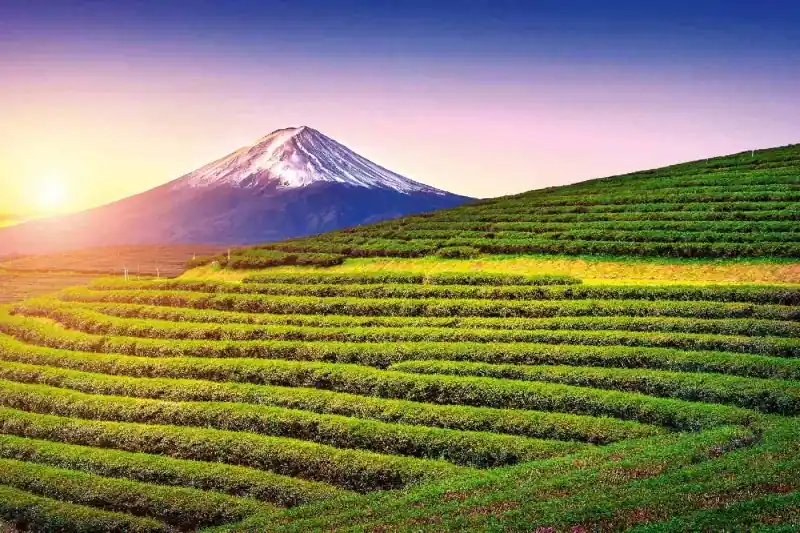 Fototapeta na flizelinie MS-5-1924 Fuji, Japonia 375 x 250 cm Dostępne od ręki
