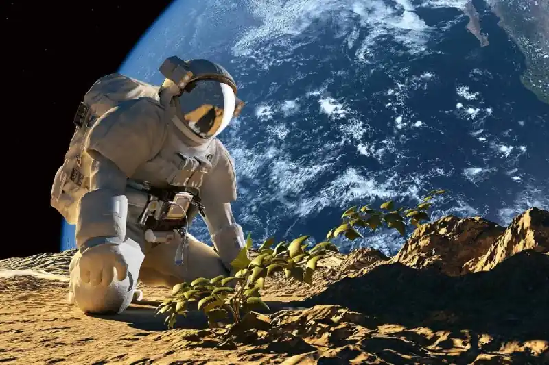 Fototapeta na flizelinie MS-5-2239 Astronaut 375 x 250 cm Wybór klientów