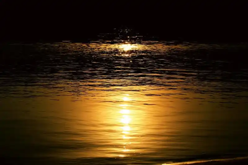Fototapeta na flizelinie MS-5-2307 Moonlight on the water 375 x 250 cm Łatwy zwrot