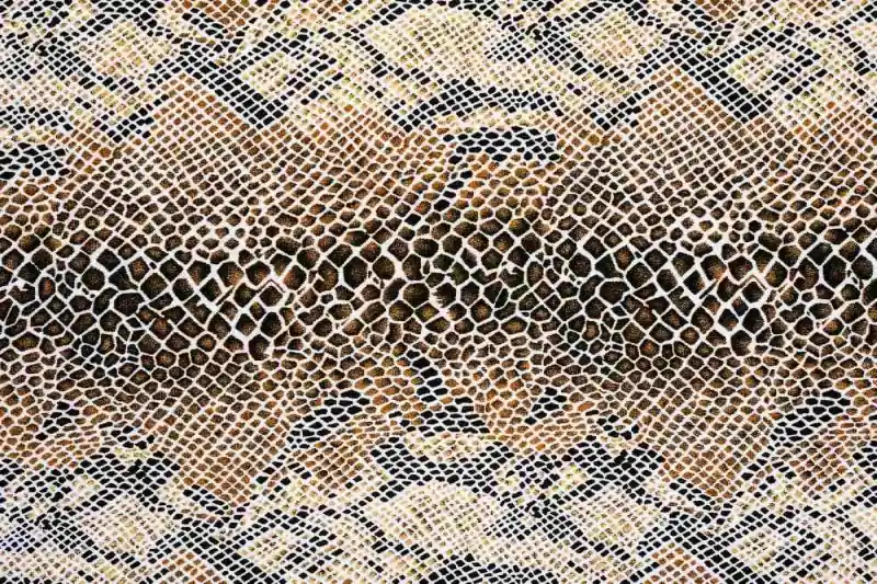 Fototapeta na flizelinie MS-5-2584 faktura węża 375 x 250 cm Wysoka jakość