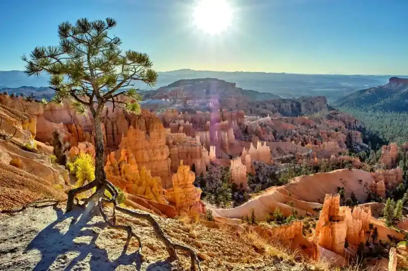 Kup online Fototapeta na flizelinie MS-5-3017 Bryce Canyon National Park 375 x 250 cm
