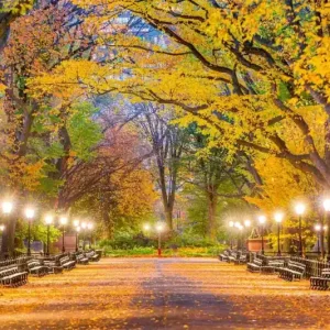 Tylko do końca tygodnia Fototapeta na flizelinie MS-5-3019 Central Park jesienią 375 x 250 cm
