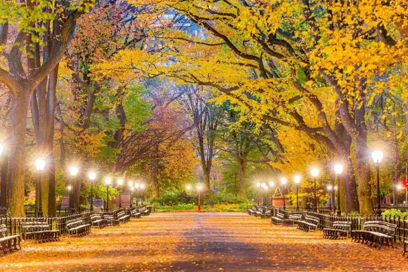 Tylko do końca tygodnia Fototapeta na flizelinie MS-5-3019 Central Park jesienią 375 x 250 cm