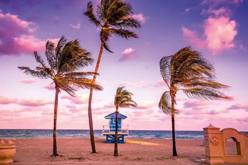 Nowy Fototapeta na flizelinie MS-5-3039 Hollywood Beach 375 x 250 cm