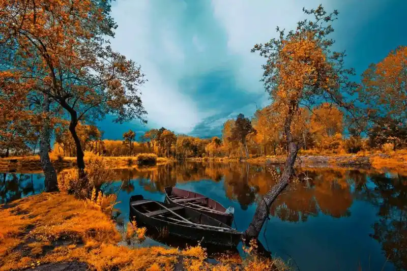 Oferta Fototapeta na flizelinie MS-5-3041 Rzeka jesienią 375 x 250 cm