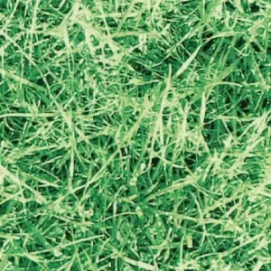 Zamów dziś Okleina Meblowa 11563 / Gekkofix grass szer 45 cm