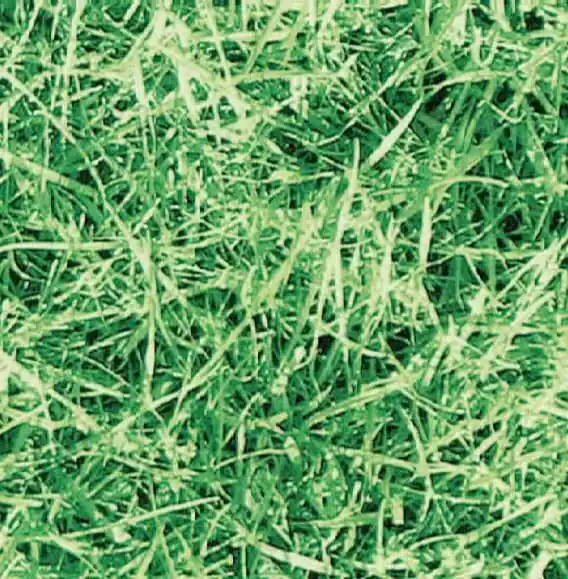 Zamów dziś Okleina Meblowa 11563 / Gekkofix grass szer 45 cm
