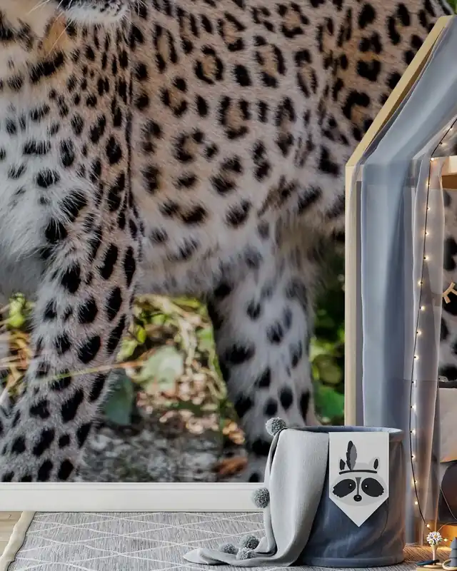 Wybór klientów Spojrzenie leoparda