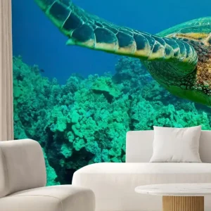Żółw morski w koralu Oferta czasowa