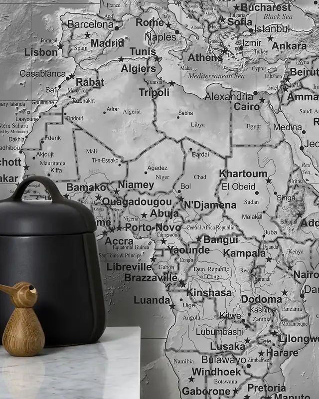 Mapa świata szczegółowa - Szara Dodaj do koszyka