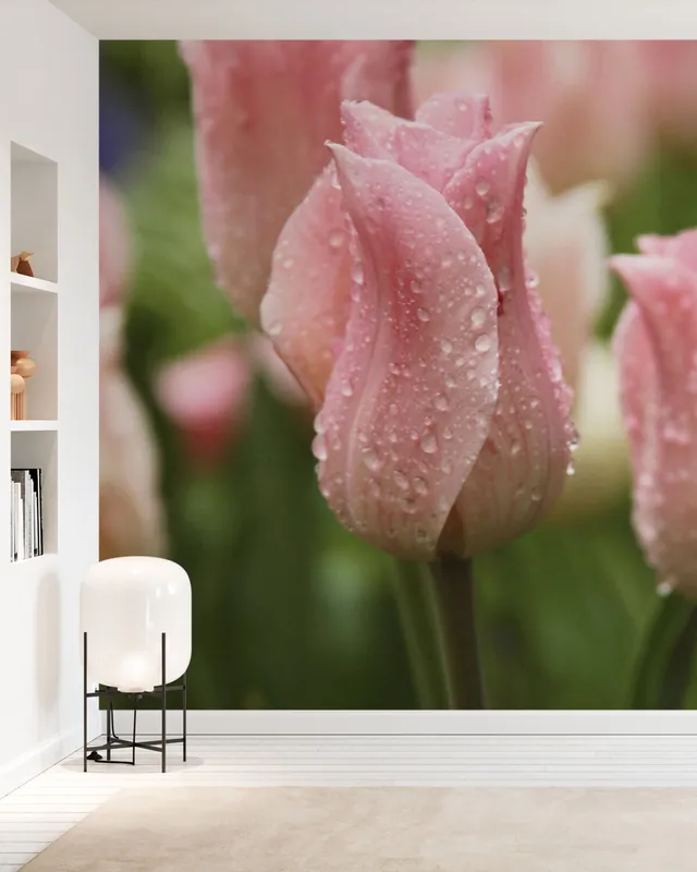 Premium Tulipany po deszczu