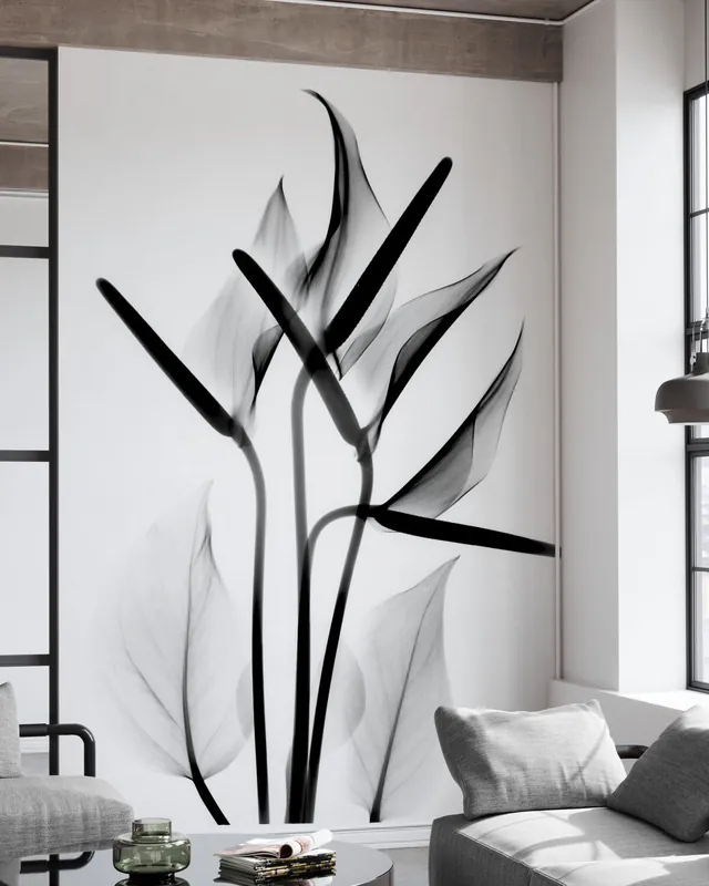Oferta limitowana Flaming