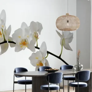 Biała łodyga orchidei Popularny