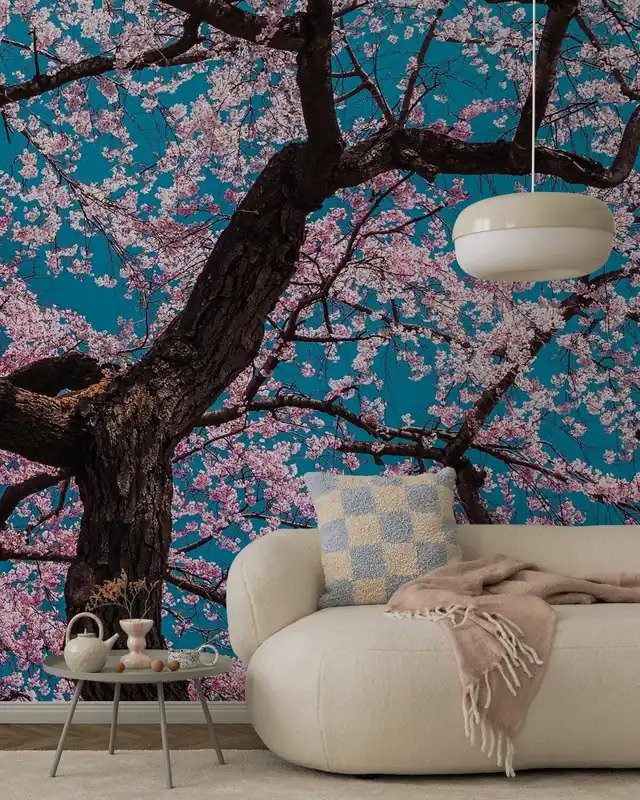 Sakura Ostatnie sztuki