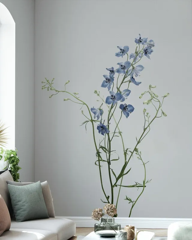 Wyprzedaż Delphinium