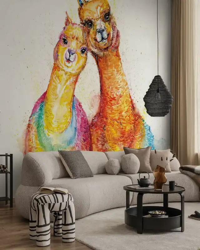Najlepsza cena Packa Alpaca